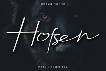 Hofsen Brava Script Font