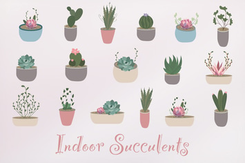 Succulent Hand Drawn