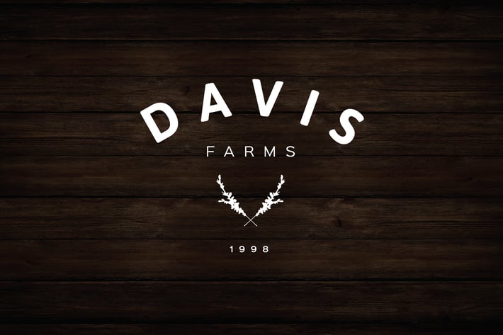 Rustic Olive Branch Illustration Logo