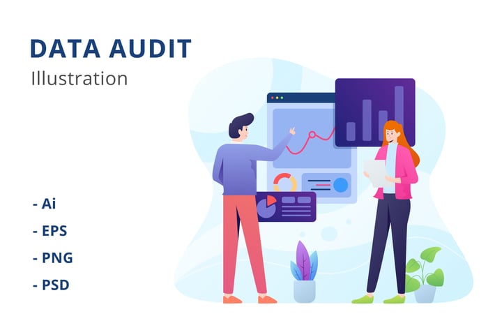 Data Audit Illustration