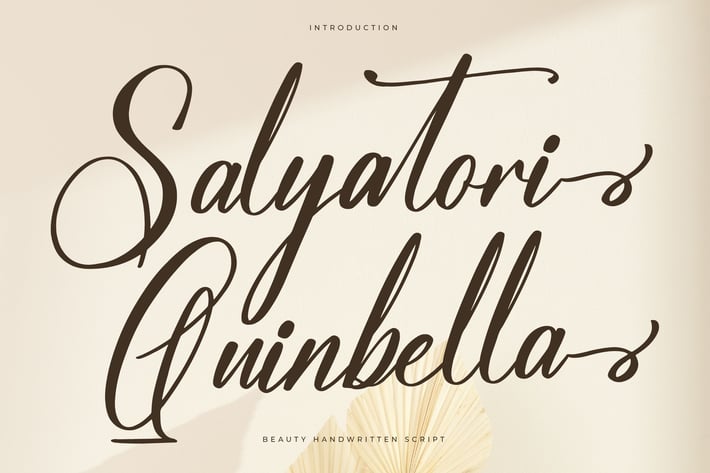 Salyatori Quinbella Modern Handwritten Font