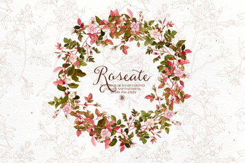 Roseate - watercolor clipart and patterns