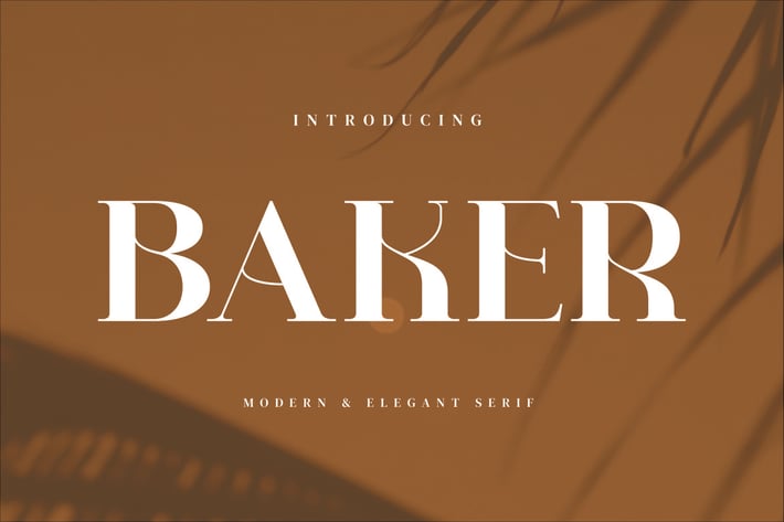 Baker - Stylish Serif Font