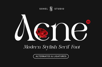 Acne - Modern Fancy Typeface
