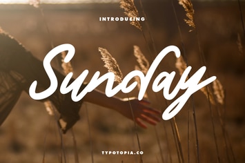 Sunday Handwritten Script Font