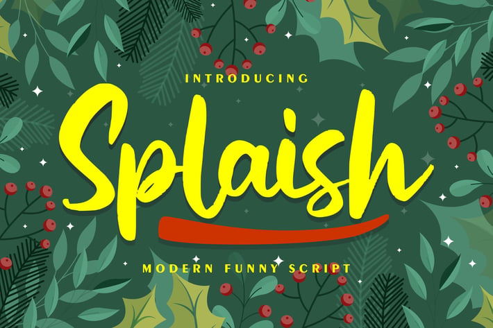 Splaish | Modern Funny Script Font