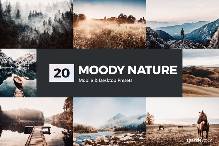 20 Moody Nature Lightroom Presets & LUTs
