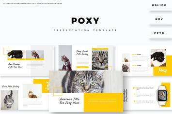 Poxy - Presentation Template