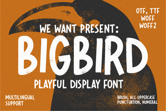 Bigbird Playful Display Font