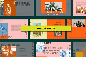 THE FLOW  Presentation Template