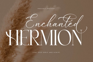 Enchanted Hermion Font Duo 