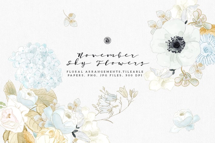 November Sky Flowers