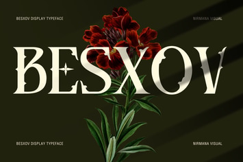 Besxov - Modern Branding Logo Font