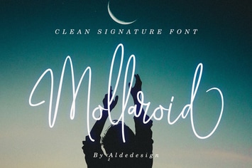 Mollaroid | Signature Font