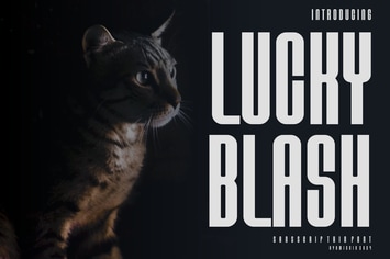 Lucky Blash - Modern Sans Font