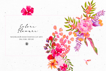 Colors Flowers - watercolor set