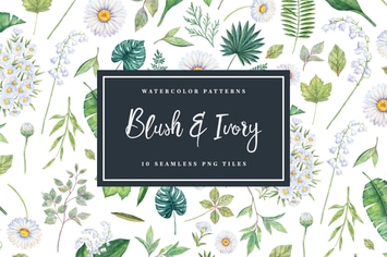 Blush & Ivory - Seamless Patterns