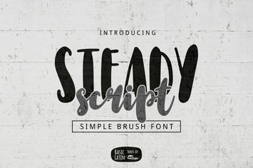 Steady Script