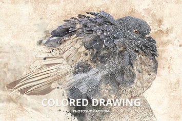 Colored Drawing Photoshop Action
