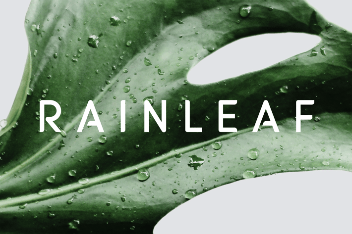Simple Sans Serif Font