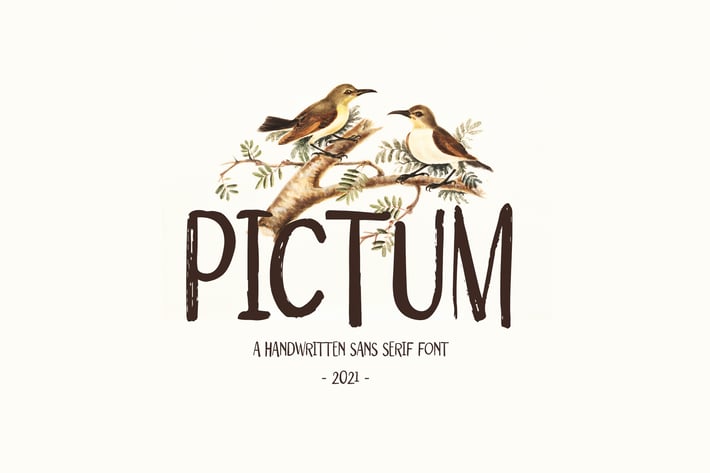 Pictum - Handwritten