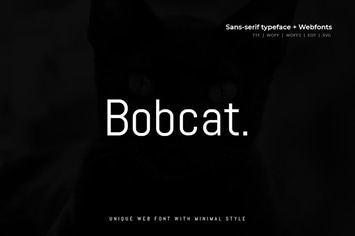 Bobcat  - Modern Typeface + WebFont