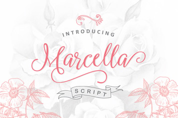 Marcella Script