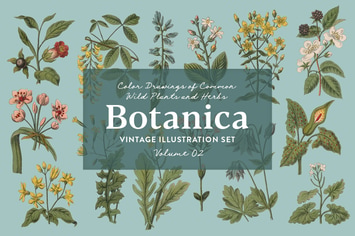 Botanica Vol. 2 - Vintage Plants Illustrations