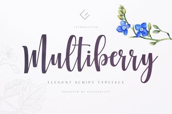 Multiberry - Script Font