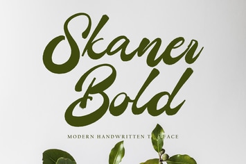 Skaner Bold