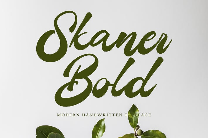 Skaner Bold