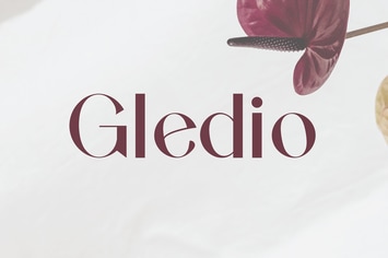 Modern Stylish Serif Font