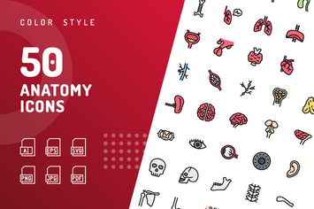 Anatomy Color Icons