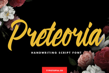 Preteoria Modern Script Font