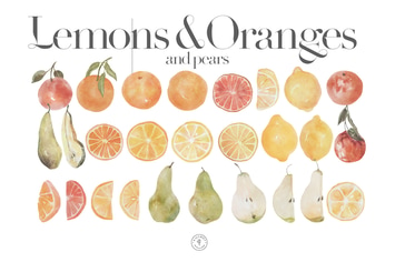 Juicy summer lemons and oranges in watercolor 