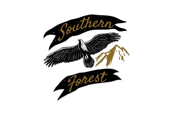 Vintage Grunge Flying Eagle Logo