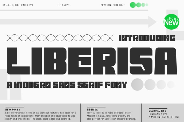 Liberisa - Modern Sans Serif Font