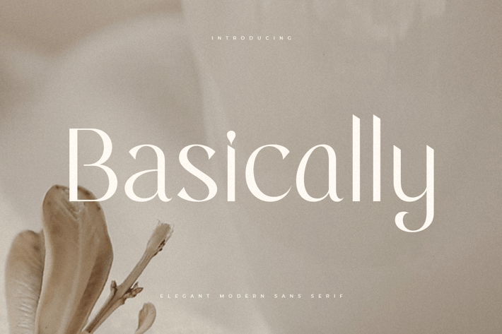 Basically - Elegant Modern Sans Serif