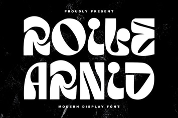 Roile Arnid Modern Display Font