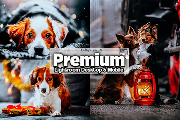 Premium Lightroom Presets Mobile and Desktop