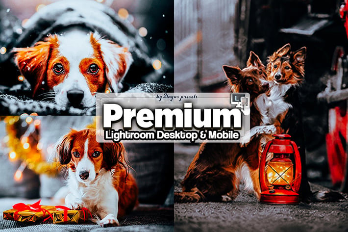 Premium Lightroom Presets Mobile and Desktop