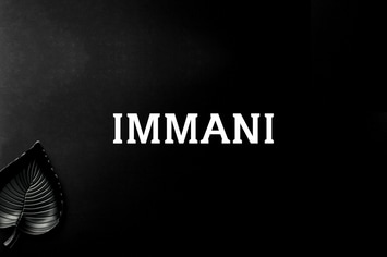Immani Serif Font Family Pack