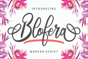 Blofera | Modern Script Font