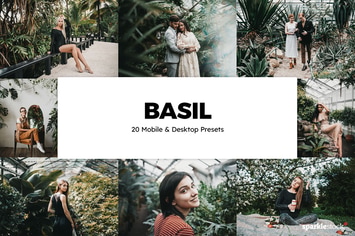 20 Basil Lightroom Presets & LUTs
