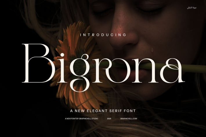 Bigrona Elegant Serif Font