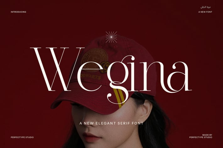 Wegina Minimal Serif Font