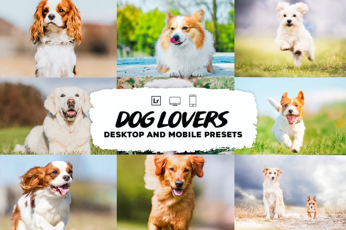  Dog Lovers Lightroom Presets Collection