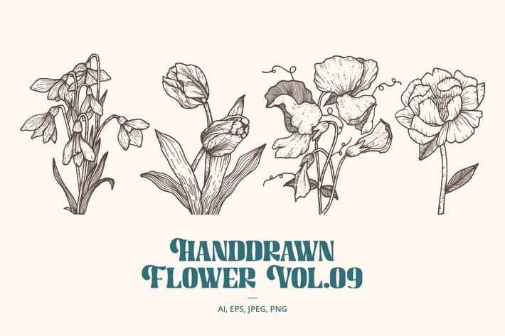 Handdrawn Flower Vol.09