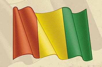 Vintage Flag Of Guinea