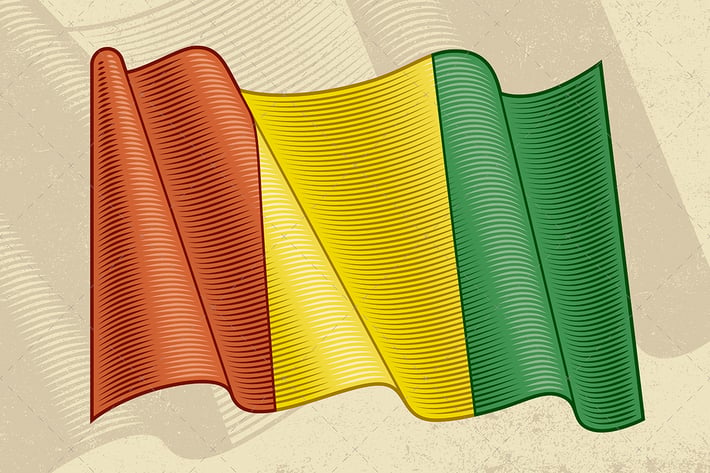 Vintage Flag Of Guinea